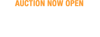 December 10 - 13 Fall Sports Collectibles Catalog Auction - Dallas #50031