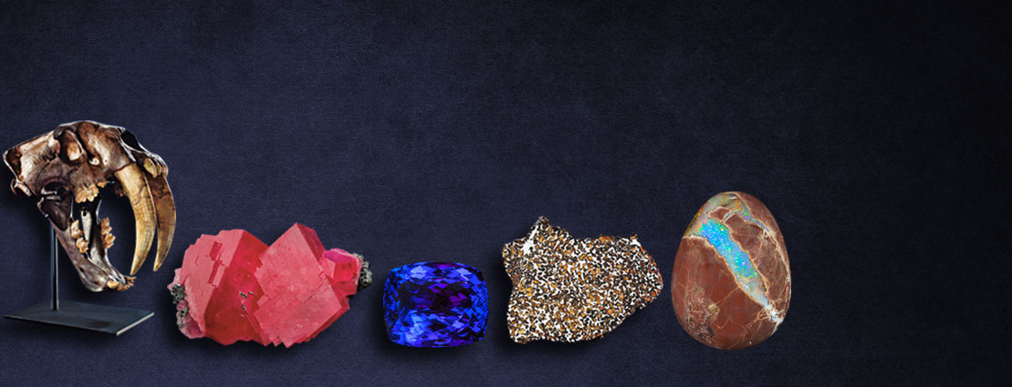  Featured Nature and Science Collectibles