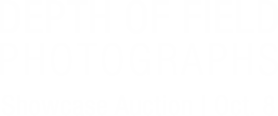September 10 Depth of Field: Photographs Showcase Auction #14228