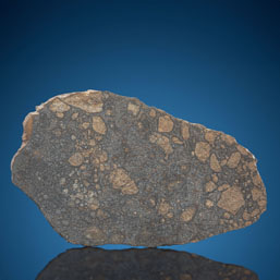 NWA 8655 Meteorite Slice | Chondrite, LL5-melt breccia