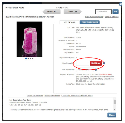 Proxy bids