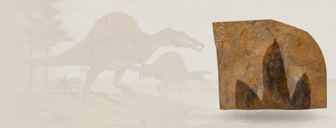 Featured Mineral of Thursday Internet Natural History Auction