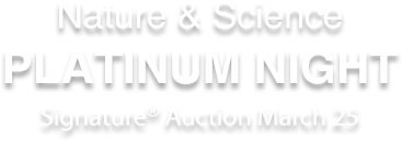 March 25 Nature & Science Platinum Night Signature® Auction #8073