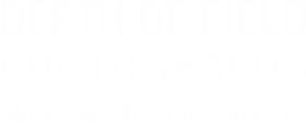 November 12 Depth of Field: Photographs Showcase Auction #14230