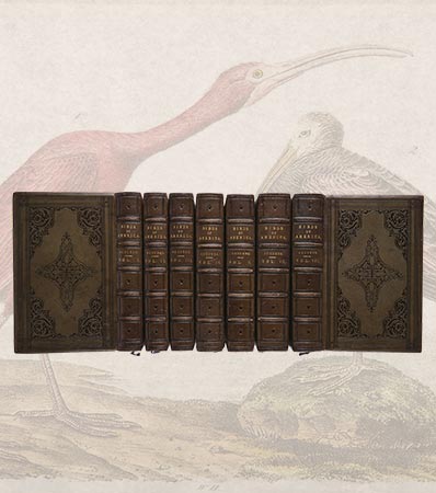 John James Audubon. The Birds of America, from Drawings made in the United States 