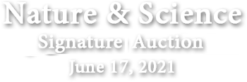 May 18 Nature & Science  Signature Online Auction  #29153