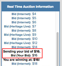 Web tips - bidding