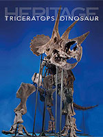 Virtually Complete Triceratops Skeleton