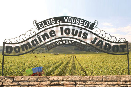 Located in the well-known and highly-acclaimed wine region of Burgundy, France, Maison Louis Jadot has been making notable wines for over a century and a half. Established in 1859 by Louis Henry Denis Jadot, the vineyard has a rich history that is...