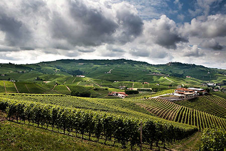Paolo Scavino Wine