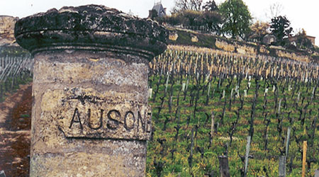 Chateau Ausone is a Bordeaux wine located close to the town of Saint-Emilion. It is named after the 4th century poet, Ausonius. The estate can be dated to the 18th century, though it is rumored to have medieval history, it was then owned by Jean...