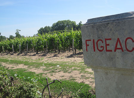 Fine wines that stand the test of time are a direct result of the grapes and the producers. Chateau Figeac is the example of premier wines with a long and respected history. The vineyards are located in the prestigious Saint-Emillion region of...