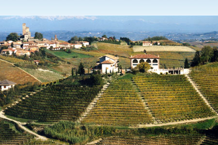 Hailing from Neive in Piedmont, Bruno Giacosa is well-known for their impeccable Barolo and Barbaresco wines. The winery's signature red labels have been instantly recognized throughout the world for nearly 50 years. The eponymous founder, Bruno...