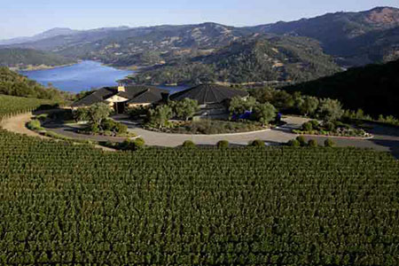 Colgin Cellars, a winery located in Napa Valley, California, was founded in 1992 by Ann Colgin. In 1997 she planted her first grapes. All vintages from 1992-97 were produced with grapes she had purchased. Ann Colgin now owns the Tychson Estate where...