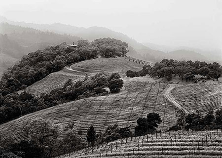 Harlan estate is located in the beautiful Napa Valley of California. Bill Harlan started the Harlan estate in 1984. It has 36 acres of vineyards currently, though it started with only 6 acres. The planted grape blends are 70% Cabernet Sauvignon, 20%...