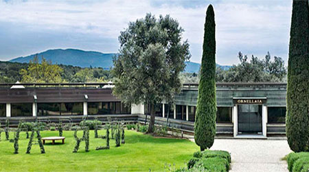 Tenuta dell'Ornellaia is an Italian wine producer in the DOC Bolgheri region of Toscana. Its vineyards overlook the Tyrrhenian Sea between Livorno and the island of Elba. It was established in 1981 by Marchese Lodovico Antinori with the help of Tibor...